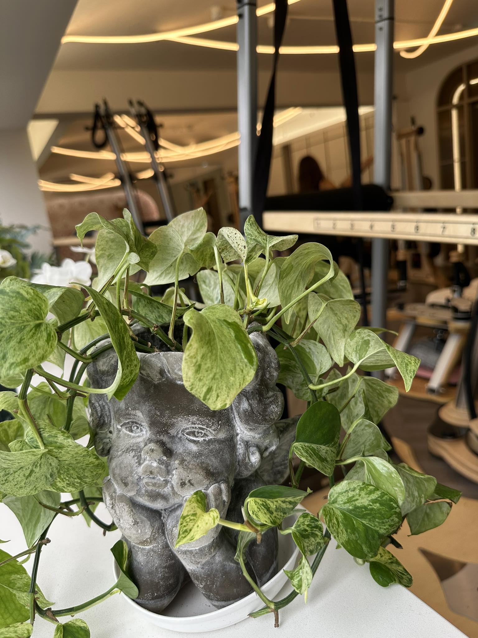 561496531 1232175005598008 5284879329973187238 N